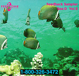 Feedback Sampler Sea-D Vol. 2 Cover