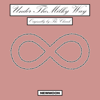 Newmoon - Under The Milky Way Cover