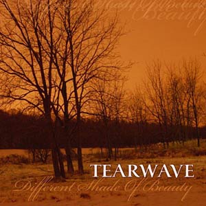 Tearwave - Different Shade Of Beauty Cover