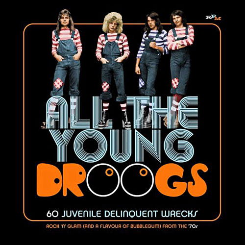 All The Young Droogs Cover