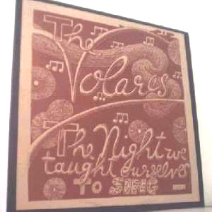 The Volares - The Night We Taught Ourselves To Sing LP Cover