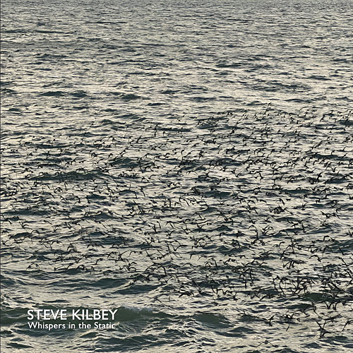 Steve Kilbey - Whispers in the Static Cover